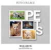 KITTY CAT COLLAGE - PETS PHOTOGRAPHY - Photography Photoshop Template