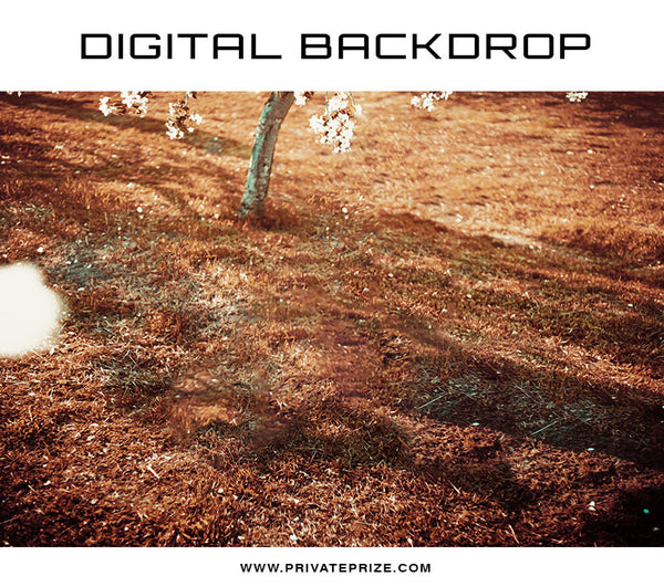 Digital Backdrop Winter Nature - Photography Photoshop Template