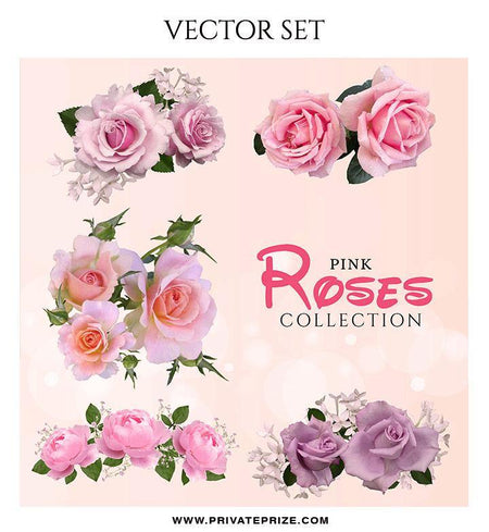 Pink Rose Collection - Valentines Vector Graphics Set - PrivatePrize - Photography Templates