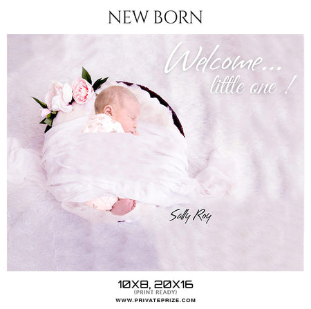 Sally Roy  New Born Photography Photoshop Templates - Photography Photoshop Template