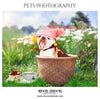 BUDDY - PETS PHOTOGRAPHY - Photography Photoshop Template