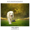 Rocky - Pets Photography Templates - PrivatePrize - Photography Templates
