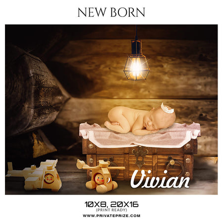 VIVIAN - NEW BORN - Photography Photoshop Template