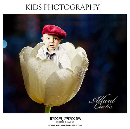 Allard Curtis - Kids Photography - Photography Photoshop Template