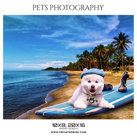 TIGGER - PETS PHOTOGRAPHY - Photography Photoshop Template