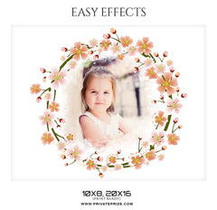 DAISY-EASY EFFECTS