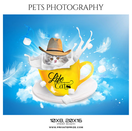 Taffy - Pets Photography - Photography Photoshop Template