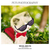 KENNY- PETS PHOTOGRAPHY - Photography Photoshop Template