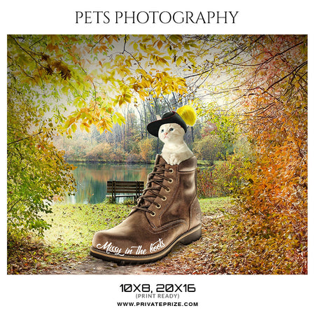 MISSY IN THE BOOTS - PETS PHOTOGRAPHY - Photography Photoshop Template