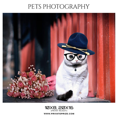 OSCAR - PETS PHOTOGRAPHY - Photography Photoshop Template