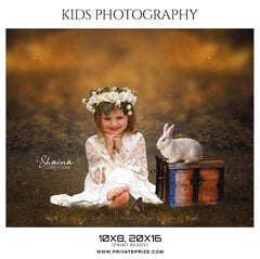 Shaina Greyson - Kids Photography Photoshop Templates