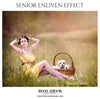 Alaina Curtis - Senior Enliven Effect  Photoshop Template - Photography Photoshop Template