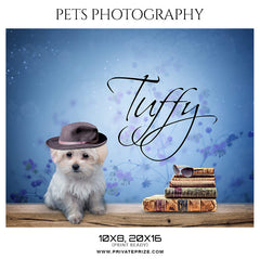 Tuffy - Pets Photography