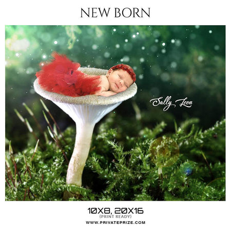Sally Leon - New Born Photography - PrivatePrize - Photography Templates