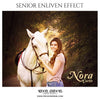 NORE CURTIS- SENIOR ENLIVEN EFFECT - Photography Photoshop Template