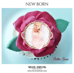 Pattin Sean - New Born Photography Templates
