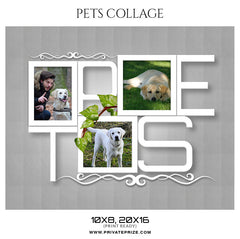 MAX DOG COLLAGE - PETS PHOTOGRAPHY