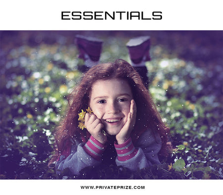 Flakes Overlay - Photography Photoshop Templates