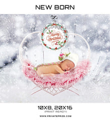 New Born Christmas Snow Swing - Digital Backdrop