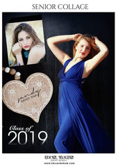 Sandy Noah - Senior Collage Effect Photography Template