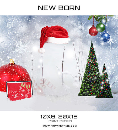 New Born Christmas Props - Digital Backdrop - Photography Photoshop Template