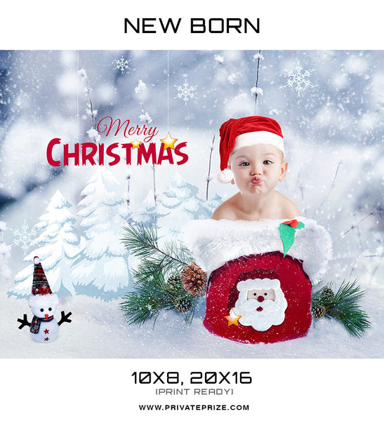 New Born Christmas Basket - Digital Backdrop - Photography Photoshop Template