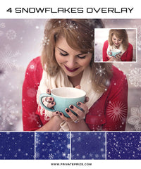 Set of 4 Snowflakes Overlay - Winter and Christmas prop