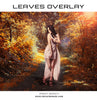 Leaves Overlay - Photography Photoshop Template