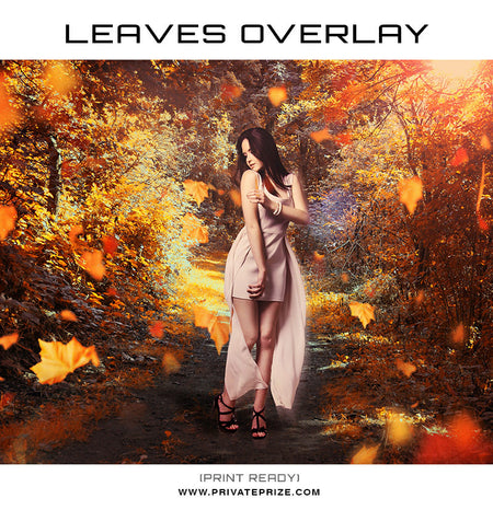 Leaves Overlay - Photography Photoshop Template
