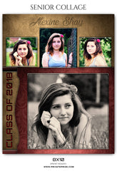 ALEXINE SHAY - SENIOR COLLAGE