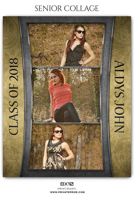 ALDYS JOHN -SENIOR COLLAGE - Photography Photoshop Template