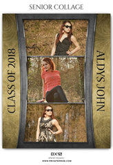 ALDYS JOHN -SENIOR COLLAGE