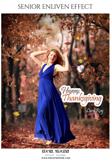 Lucy Roy  - Thanksgiving Digital Backdrop Template - Photography Photoshop Template