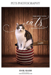 Daisy - Pets Photography Templates