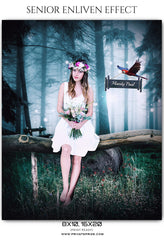 Mandy Paul - Senior Enliven Effect Photography Template