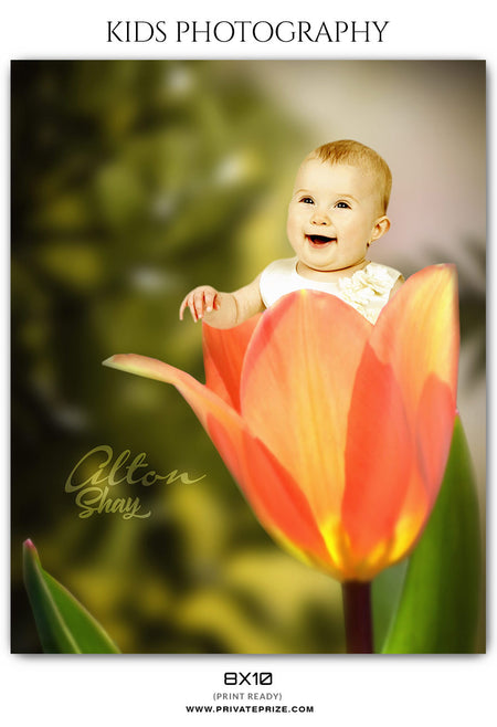 Alton Shay - Kids Photography - Photography Photoshop Template