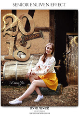 Dania Jon - Senior Enliven Effect Photography Template