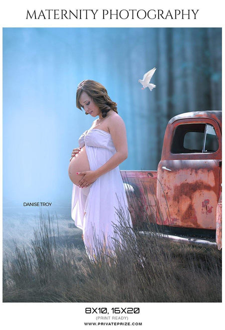 Danise Troy - Maternity Photography - PrivatePrize - Photography Templates