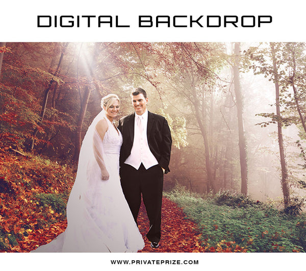 Digital Backdrop - Fall Rays - Photography Photoshop Template