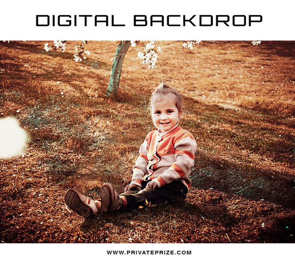 Digital Backdrop Winter Nature - Photography Photoshop Template