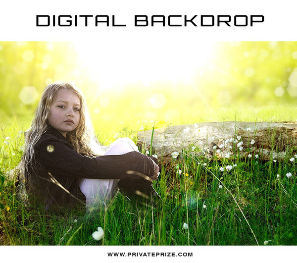 Digital Backdrop - Meadow Rays - Photography Photoshop Template