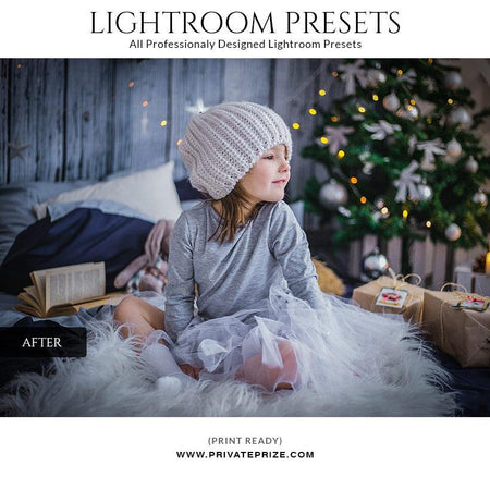 Christmas cool shine - LightRoom Presets Set - PrivatePrize - Photography Templates
