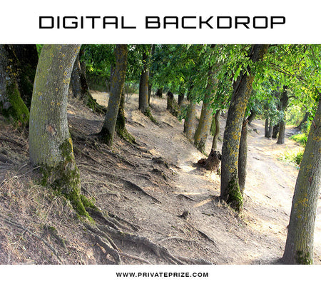Digital Backdrop - Forest Tree - Photography Photoshop Template