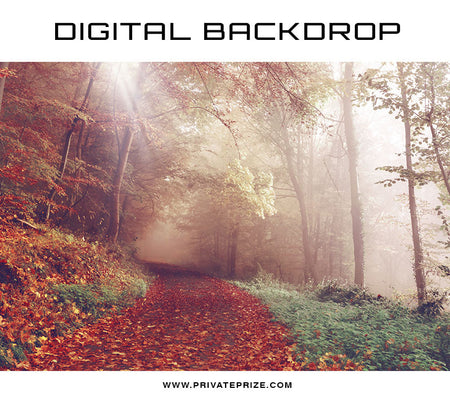 Digital Backdrop - Fall Rays - Photography Photoshop Template
