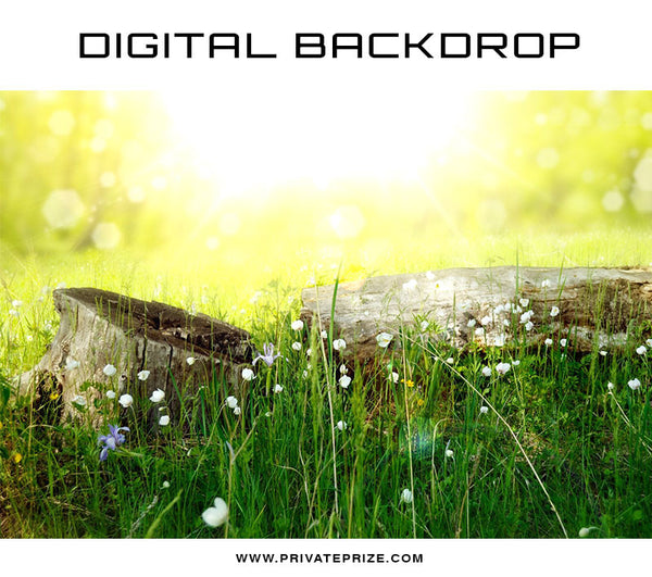 Digital Backdrop - Meadow Rays - Photography Photoshop Template