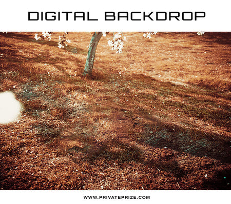 Digital Backdrop Winter Nature - Photography Photoshop Template