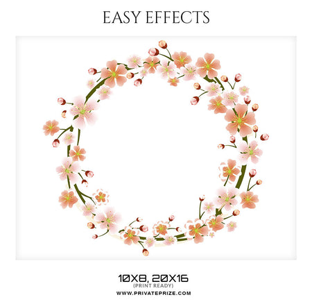 DAISY-EASY EFFECTS - Photography Photoshop Template