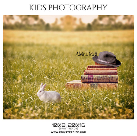 Alvina Mett - Kids Photography Photoshop Templates - Photography Photoshop Template