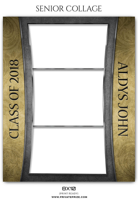 ALDYS JOHN -SENIOR COLLAGE - Photography Photoshop Template