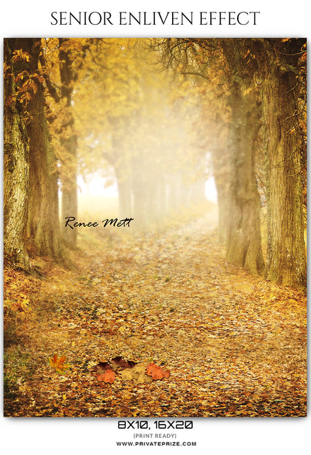 Renee Mett - Senior Enliven Effect  Photoshop Template - Photography Photoshop Template